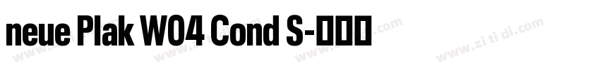 neue Plak W04 Cond S字体转换